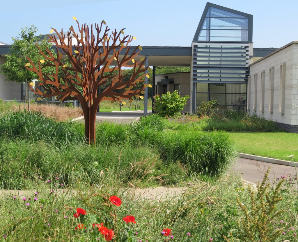 Poppies in front of the Steel Tree